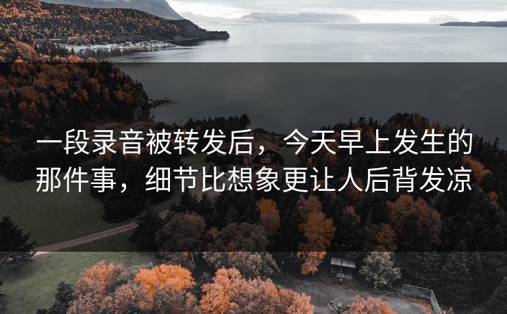 一段录音被转发后，今天早上发生的那件事，细节比想象更让人后背发凉