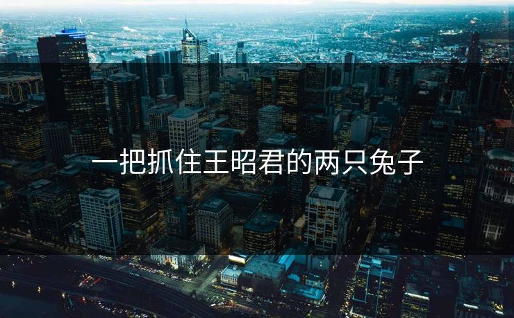 一把抓住王昭君的两只兔子 一把抓住王昭君的两只兔子