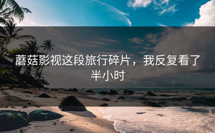 蘑菇影视这段旅行碎片，我反复看了半小时
